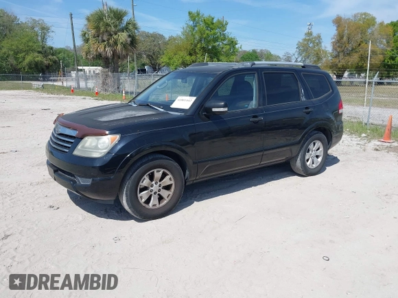 2009 Kia Borrego LX with VIN KNDJJ741X95022410, listed as a IAAI auction lot 41801442 with 163,775 mi miles. Bid and sale history available at carsss.com. Image 2.