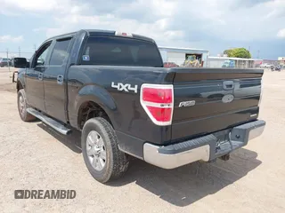 2011 Ford F-150 XL with VIN 1FTFW1EF8BFA04793, listed as a IAAI auction lot 42741542 with 259,843 mi miles and . Bid and sale history available at DreamBid. Image 3.