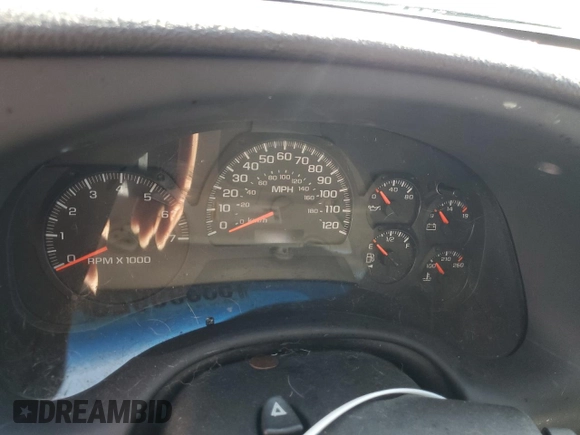 2005 Chevrolet TrailBlazer LT with VIN 1GNDT13S452373265, listed as a Copart auction lot 53399925 with Not Provided miles and Salvage Title. Bid and sale history available at DreamBid. Image 9.