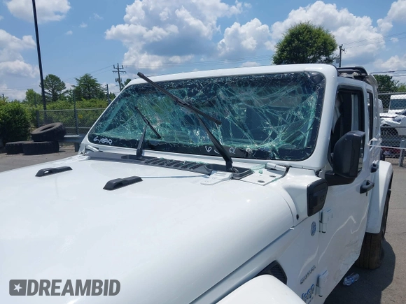2024 Jeep Wrangler Sahara with VIN 1C4RJXP64RW270463, listed as a IAAI auction lot 42598295 with 36,251 mi miles and . Bid and sale history available at DreamBid. Image 6.
