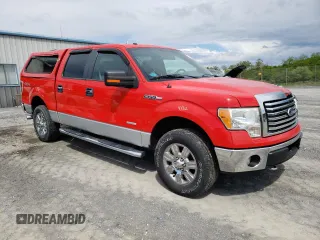 2011 Ford F-150 XLT z VIN 1FTFW1ET0BFC43339, wystawiony jako Copart lot #56043635 z przebiegiem 182 187 mil mil oraz Szkoda całkowita • Salvage title. Historia ofert i sprzedaży dostępna na DreamBid. Obrazek 4.