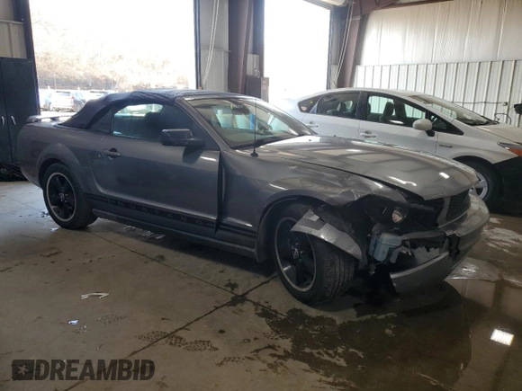 2006 Ford Mustang Standard with VIN 1ZVFT84N565111058, listed as a Copart auction lot 48254345 with Not Provided miles and Salvage Title. Bid and sale history available at carsss.com. Image 4.