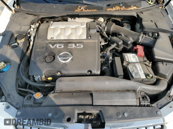 2006 Nissan Maxima 3.5 SE with VIN 1N4BA41E76C823657, listed as a Copart auction lot 65844744 with 111,413 mi miles and Salvage Title. Bid and sale history available at carsss.com. Image 11.