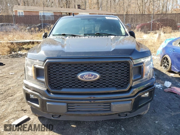 2018 Ford F-150 XL with VIN 1FTEW1EP2JFA60621, listed as a Copart auction lot 45009925 with 125,731 mi miles and Salvage title. Bid and sale history available at DreamBid. Image 5.
