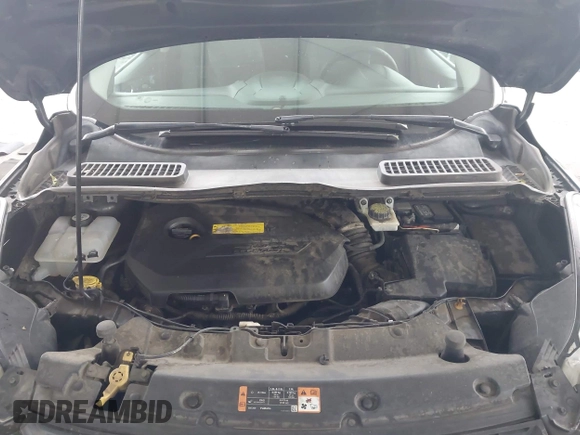 2015 Ford Escape SE with VIN 1FMCU0GXXFUC80317, listed as a IAAI auction lot 42047476 with 230,381 mi miles and . Bid and sale history available at DreamBid. Image 10.
