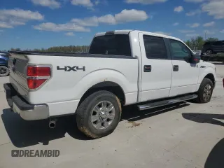 2010 Ford F-150 XL with VIN 1FTFW1EV9AFA76530, listed as a Copart auction lot 51303695 with 261,542 mi miles and Salvage Title. Bid and sale history available at DreamBid. Image 3.
