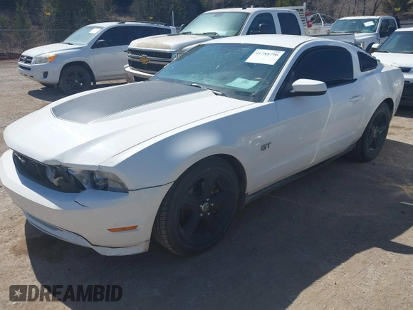 2010 Ford Mustang GT with VIN 1ZVBP8CH4A5158878, listed as a IAAI auction lot 41788790 with 133,892 mi miles and . Bid and sale history available at DreamBid. Image 2.