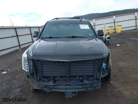2017 Cadillac Escalade Platinum with VIN 1GYS4DKJ2HR313241, listed as a IAAI auction lot 41899875 with 108,875 mi miles. Bid and sale history available at carsss.com. Image 13.