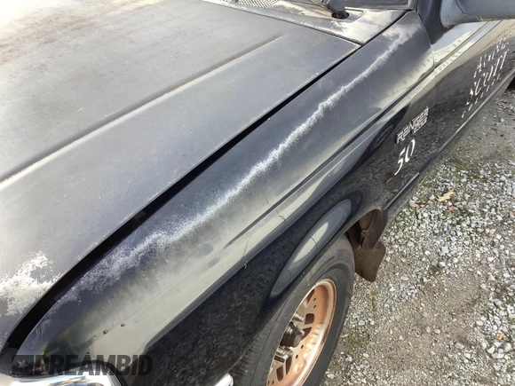1994 Ford Ranger Splash с VIN 1FTCR14X5RTA79788, выставлен на аукционе IAAI как лот 42360457 с пробегом 160 212 миль миль и . История ставок и продаж доступна на DreamBid. Изображение 1.
