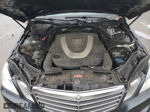 2011 Mercedes-Benz E 550 Luxury with VIN WDDHF7CB2BA275850, listed as a Copart auction lot 43870175 with 172,714 mi miles and Clean Title. Bid and sale history available at DreamBid. Image 11.