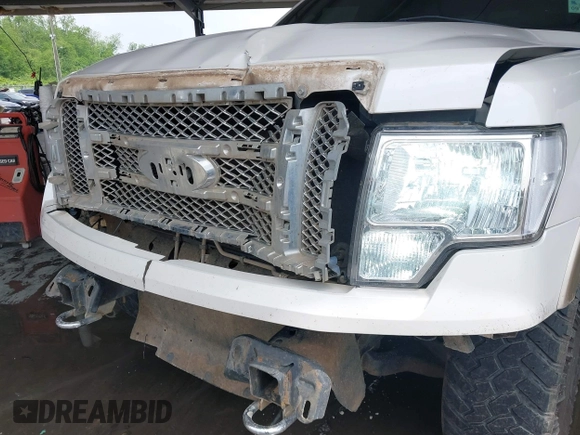 2012 Ford F-150 XL with VIN 1FTFW1EF7CFB06586, listed as a IAAI auction lot 42075498 with 167,391 mi miles and . Bid and sale history available at DreamBid. Image 6.