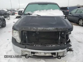 2013 Ford F-150 XL with VIN 1FTMF1EM4DKE21361, listed as a Copart auction lot 88074845 with 281,470 mi miles and Salvage Title. Bid and sale history available at DreamBid. Image 5.