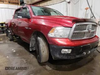 2010 Dodge 1500 SLT с VIN 1D7RV1CT8AS121049, выставлен на аукционе Copart как лот 55174785 с пробегом 169 118 миль миль и Списание • Salvage title. История ставок и продаж доступна на DreamBid. Изображение 4.