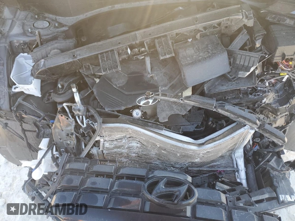 2025 Hyundai Palisade SEL z VIN KM8R24GE9SU867978, wystawiony jako Copart lot #52439355 z przebiegiem Nie podano mil oraz Szkoda całkowita • Salvage title. Historia ofert i sprzedaży dostępna na DreamBid. Obrazek 11.
