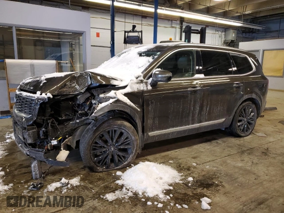 2022 Kia Telluride SX with VIN 5XYP5DHC2NG235782, listed as a Copart auction lot 46151635 with 28,531 mi miles and Salvage Title. Bid and sale history available at carsss.com. Image 1.