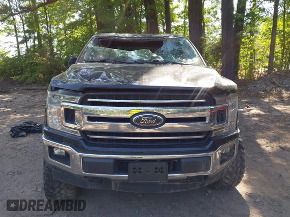 2018 Ford F-150 XL with VIN 1FTFW1EG2JFB91486, listed as a IAAI auction lot 42302383 with 66,043 mi miles and . Bid and sale history available at DreamBid. Image 12.