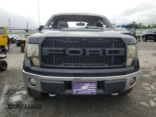 2009 Ford F-150 STX with VIN 1FTRX14819KB81135, listed as a Copart auction lot 61414765 with Not provided miles and Salvage title. Bid and sale history available at DreamBid. Image 5.