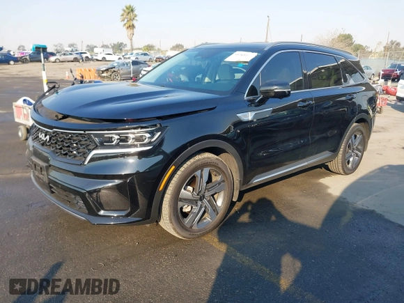 2024 Kia Sorento SX Prestige with VIN KNDRKDLG7R5259912, listed as a IAAI auction lot 41265462 with 33,786 mi miles and . Bid and sale history available at DreamBid. Image 17.