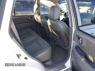 2002 Hyundai Santa Fe GLS with VIN KM8SC73D82U294374, listed as a IAAI auction lot 41204011 with 179,219 mi miles. Bid and sale history available at carsss.com. Image 8.