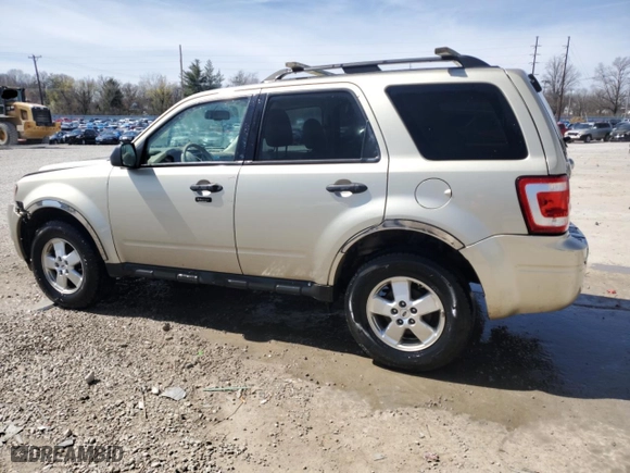 2011 Ford Escape XLT with VIN 1FMCU9D73BKA52612, listed as a Copart auction lot 49279845 with 170,182 mi miles and Salvage Title. Bid and sale history available at carsss.com. Image 2.