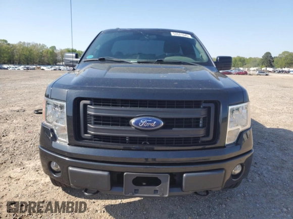 2013 Ford F-150 XL with VIN 1FTMF1EFXDFC41926, listed as a Copart auction lot 52621045 with 137,599 mi miles and Clean Title. Bid and sale history available at DreamBid. Image 5.