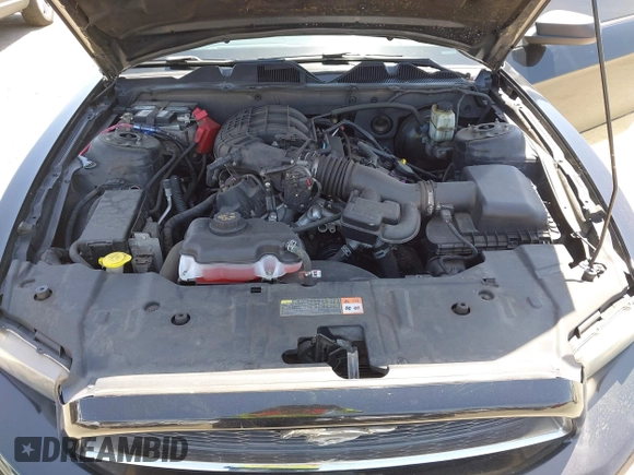 2014 Ford Mustang V6 with VIN 1ZVBP8AM7E5327555, listed as a IAAI auction lot 42316601 with 100,495 mi miles and . Bid and sale history available at DreamBid. Image 10.