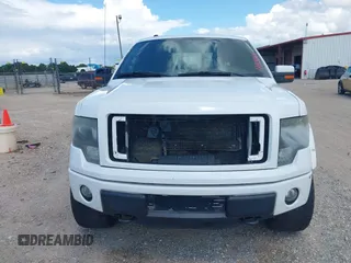 2014 Ford F-150 XL with VIN 1FTFW1ET9EFC98604, listed as a IAAI auction lot 42443369 with 294,642 mi miles and . Bid and sale history available at DreamBid. Image 12.