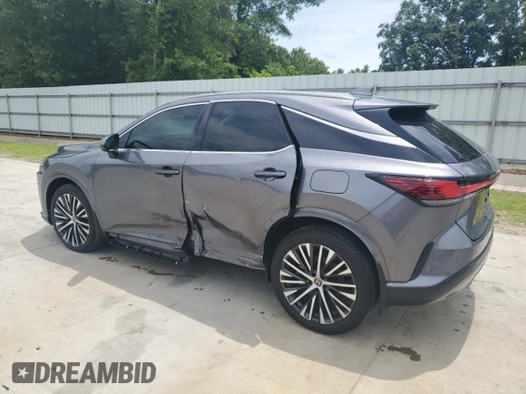 2023 Lexus RX 350 with VIN 2T2BAMBA8PC009995, listed as a Copart auction lot 60724165 with 25,227 mi miles and Salvage title. Bid and sale history available at DreamBid. Image 2.