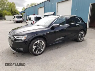 2022 Audi e-tron Premium z VIN WA1AAAGE3NB023710, wystawiony jako Copart lot #57508235 z przebiegiem 23 483 mil mil oraz Tytuł czysty. Historia ofert i sprzedaży dostępna na DreamBid. Obrazek 1.