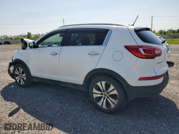 2013 Kia Sportage EX with VIN KNDPC3A2XD7392974, listed as a Copart auction lot 62603445 with 99,184 mi miles and Salvage title. Bid and sale history available at DreamBid. Image 2.