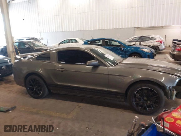 2013 Ford Mustang V6 with VIN 1ZVBP8AM3D5242145, listed as a IAAI auction lot 41626383 with 104,685 mi miles and . Bid and sale history available at DreamBid. Image 14.