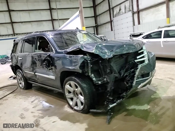 2019 Cadillac Escalade Premium Luxury with VIN 1GYS4CKJ4KR146124, listed as a Copart auction lot 47608795 with 95,278 mi miles and Salvage Title. Bid and sale history available at carsss.com. Image 14.