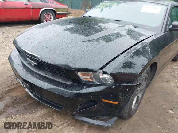 2011 Ford Mustang V6 z VIN 1ZVBP8EM7B5139351, wystawiony jako IAAI lot #42471805 z przebiegiem 80 513 mil mil oraz . Historia ofert i sprzedaży dostępna na DreamBid. Obrazek 17.