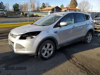 2016 Ford Escape SE with VIN 1FMCU0G73GUA46120, listed as a Copart auction lot 49264635 with 150,976 mi miles and Salvage Title. Bid and sale history available at carsss.com. Image 1.
