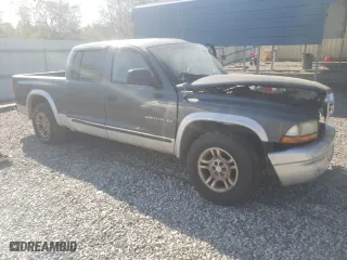 2002 Dodge Dakota SLT with VIN 1B7HL48NX2S512339, listed as a Copart auction lot 50911075 with 0 mi miles and Salvage Title. Bid and sale history available at carsss.com. Image 4.