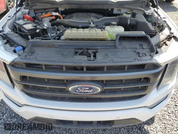 2021 Ford F-150 XL with VIN 1FTFW1ED2MFB19357, listed as a Copart auction lot 54183125 with 87,450 mi miles and Clean Title. Bid and sale history available at carsss.com. Image 11.