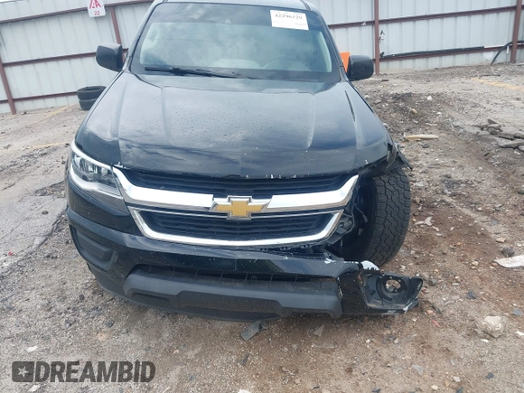 2018 Chevrolet Colorado 2WD Work Truck with VIN 1GCGSBEN1J1168492, listed as a IAAI auction lot 42296229 with 108,714 mi miles and . Bid and sale history available at DreamBid. Image 6.