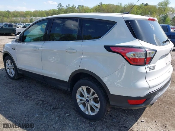2017 Ford Escape SE with VIN 1FMCU0GD1HUE87252, listed as a IAAI auction lot 41879663 with 122,994 mi miles. Bid and sale history available at carsss.com. Image 3.