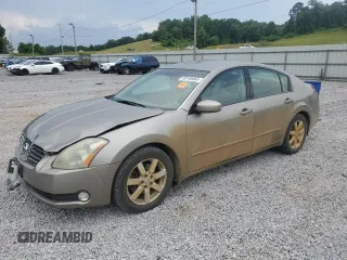 2004 Nissan Maxima SL with VIN 1N4BA41E34C842204, listed as a Copart auction lot 60156565 with 173,030 mi miles and Salvage title. Bid and sale history available at DreamBid. Image 1.