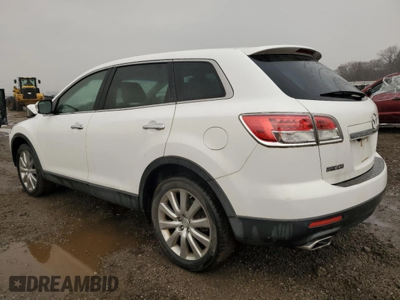 2009 Mazda CX-9 Grand Touring with VIN JM3TB38A590174074, listed as a Copart auction lot 49623355 with 123,531 mi miles and Salvage Title. Bid and sale history available at carsss.com. Image 2.