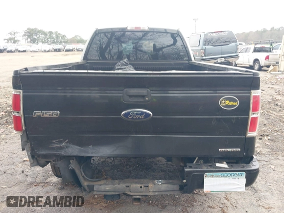 2013 Ford F-150 XL with VIN 1FTFX1CFXDFD00157, listed as a IAAI auction lot 41109981 with 226,130 mi miles. Bid and sale history available at carsss.com. Image 16.