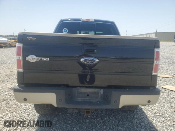 2009 Ford F-150 XL z VIN 1FTPW14V79KB58068, wystawiony jako Copart lot #57503955 z przebiegiem 166 659 mil mil oraz Szkoda całkowita • Salvage title. Historia ofert i sprzedaży dostępna na DreamBid. Obrazek 6.