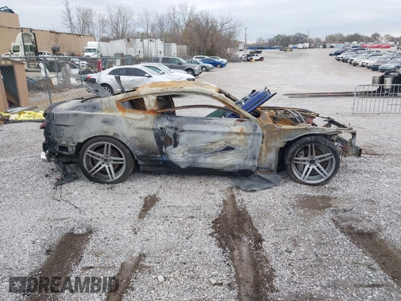 2015 Ford Mustang GT with VIN 1FA6P8CF2F5350154, listed as a IAAI auction lot 41810149 with Not Provided miles and . Bid and sale history available at carsss.com. Image 13.