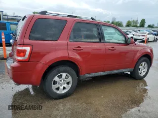 2010 Ford Escape Limited with VIN 1FMCU0E71AKB54080, listed as a Copart auction lot 55175795 with 246,064 mi miles and Salvage title. Bid and sale history available at DreamBid. Image 3.