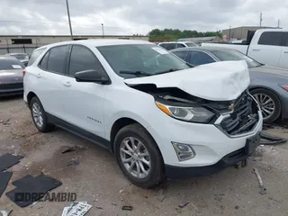 2019 Chevrolet Equinox LS with VIN 3GNAXSEV2KS628516, listed as a IAAI auction lot 41941618 with 166,174 mi miles and . Bid and sale history available at DreamBid. Image 1.