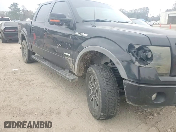 2013 Ford F-150 XL with VIN 1FTFW1ET4DKF46019, listed as a Copart auction lot 48988855 with 170,141 mi miles and Salvage Title. Bid and sale history available at carsss.com. Image 10.