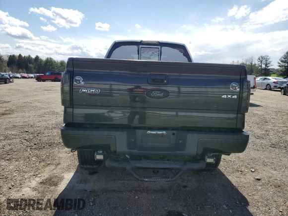 2010 Ford F-150 XL with VIN 1FTEX1EW7AFC64951, listed as a Copart auction lot 52900785 with 0 mi miles and Salvage Title. Bid and sale history available at carsss.com. Image 6.