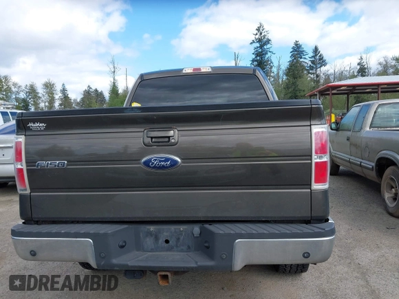 2009 Ford F-150 XL with VIN 1FTPW14V59FA09506, listed as a IAAI auction lot 42068602 with 222,954 mi miles. Bid and sale history available at carsss.com. Image 16.