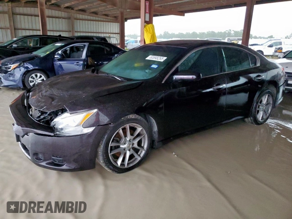 2010 Nissan Maxima SV with VIN 1N4AA5AP8AC841306, listed as a Copart auction lot 60698265 with 117,853 mi miles and Salvage title. Bid and sale history available at DreamBid. Image 1.