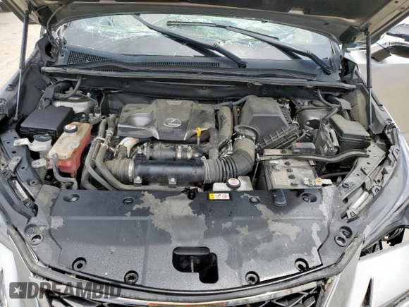 2020 Lexus NX 300 F Sport with VIN JTJSARBZXL2176260, listed as a Copart auction lot 57898055 with 64,257 mi miles and Salvage title. Bid and sale history available at DreamBid. Image 12.